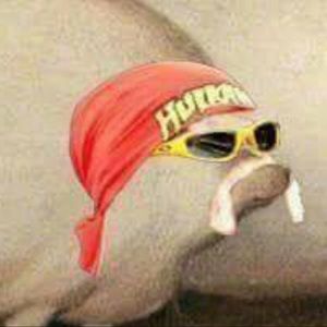 Meet your Posher, Emilio